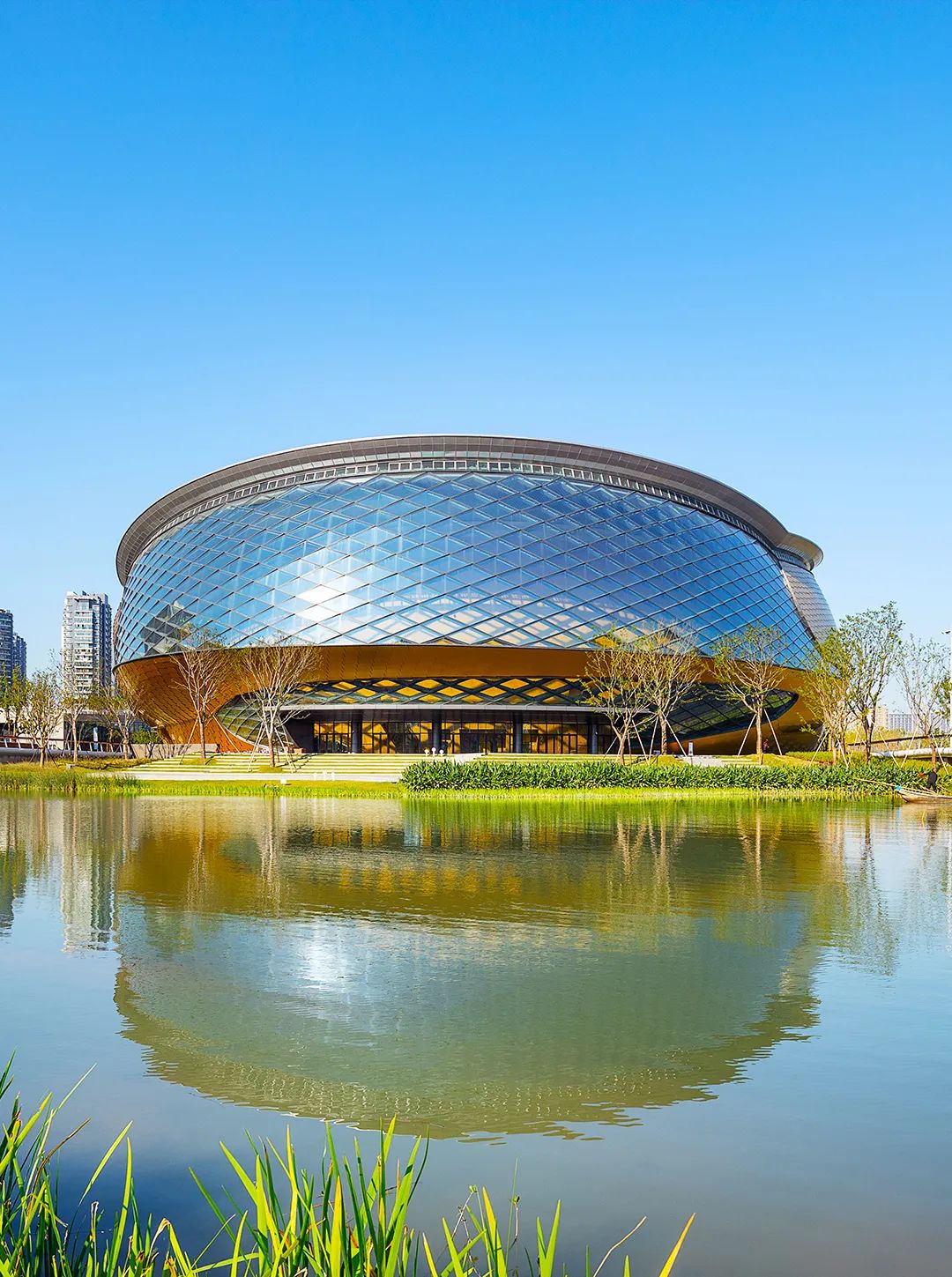 DB电竞(DBGame)官方网站