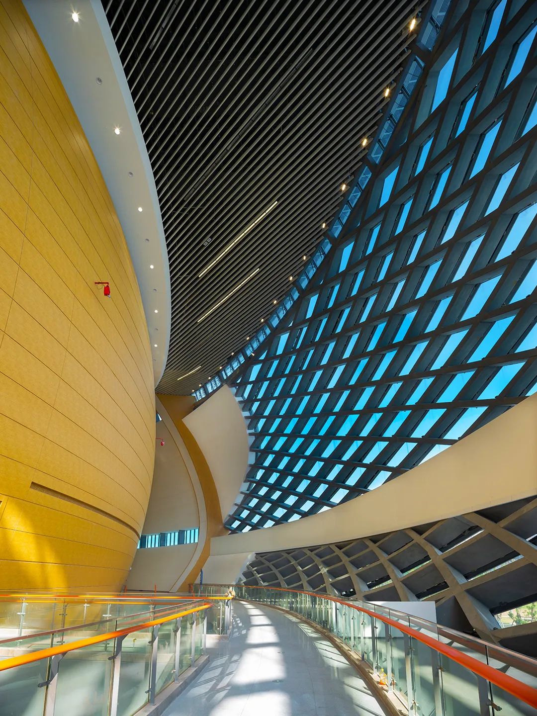 DB电竞(DBGame)官方网站