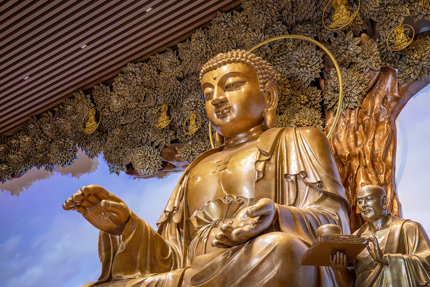 DB电竞(DBGame)官方网站