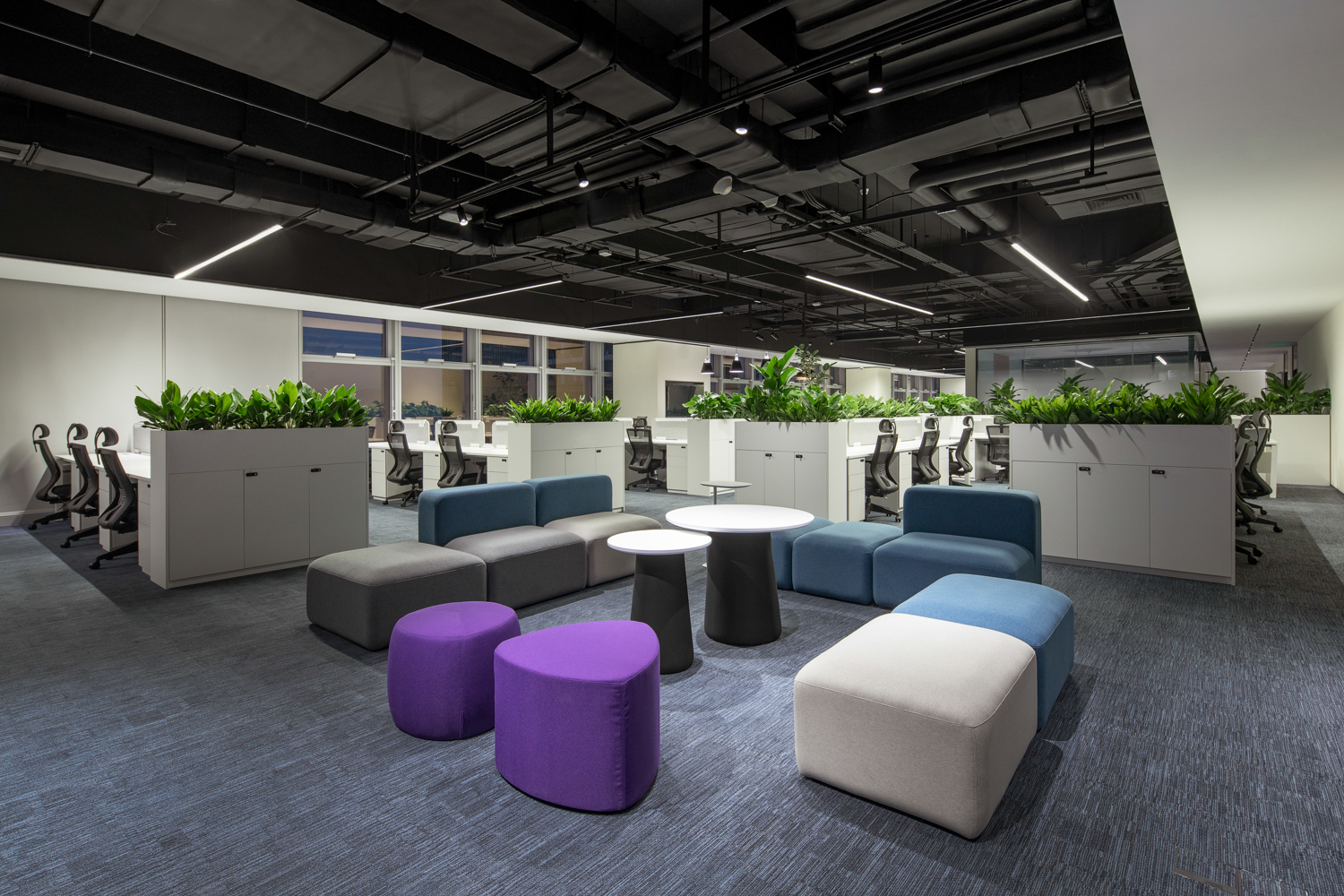 DB电竞(DBGame)官方网站