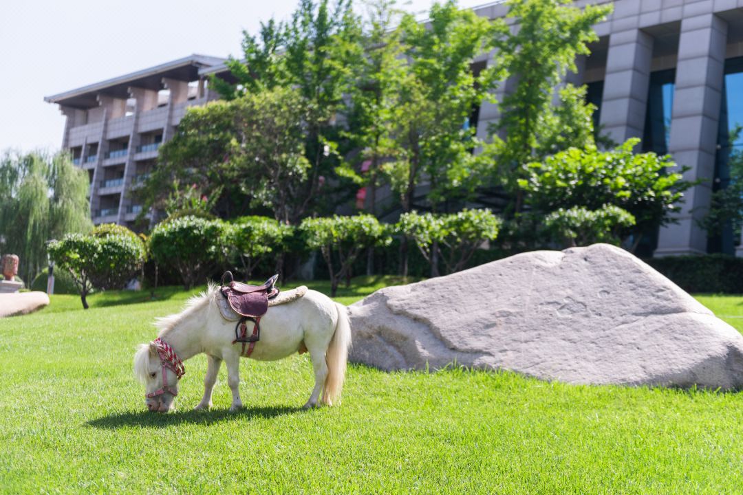 DB电竞(DBGame)官方网站