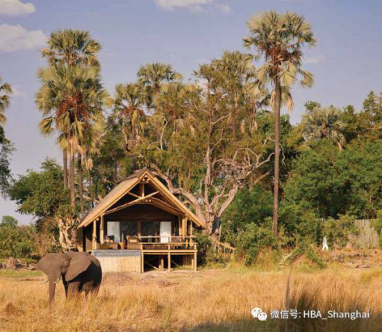 DB电竞(DBGame)官方网站