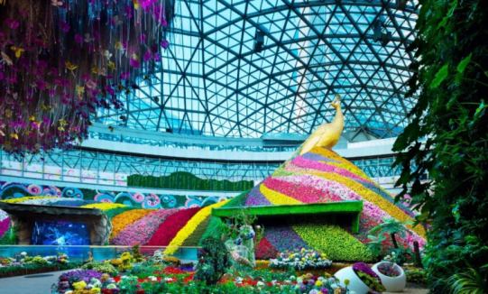 DB电竞(DBGame)官方网站