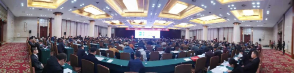 DB电竞(DBGame)官方网站