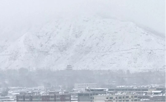 DB电竞(DBGame)官方网站