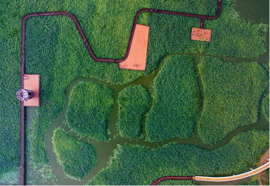 DB电竞(DBGame)官方网站