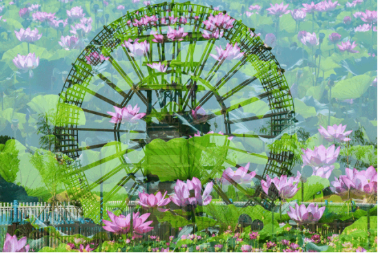 DB电竞(DBGame)官方网站