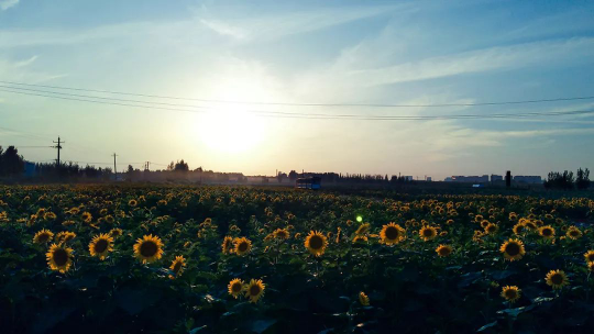 DB电竞(DBGame)官方网站