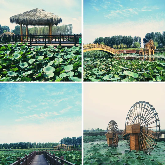 DB电竞(DBGame)官方网站