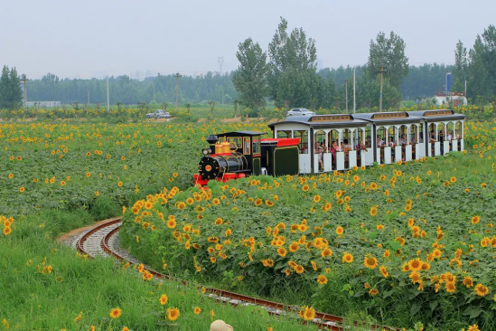 DB电竞(DBGame)官方网站