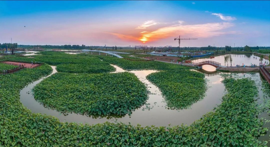 DB电竞(DBGame)官方网站