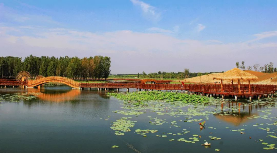 DB电竞(DBGame)官方网站