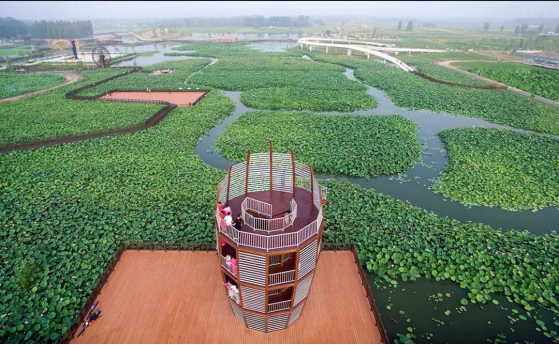 DB电竞(DBGame)官方网站