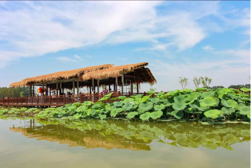 DB电竞(DBGame)官方网站