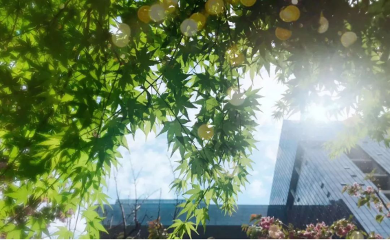 DB电竞(DBGame)官方网站