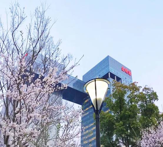 DB电竞(DBGame)官方网站