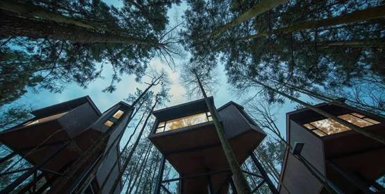 DB电竞(DBGame)官方网站