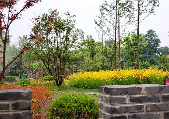 DB电竞(DBGame)官方网站