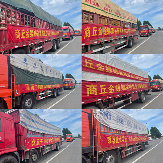 DB电竞(DBGame)官方网站