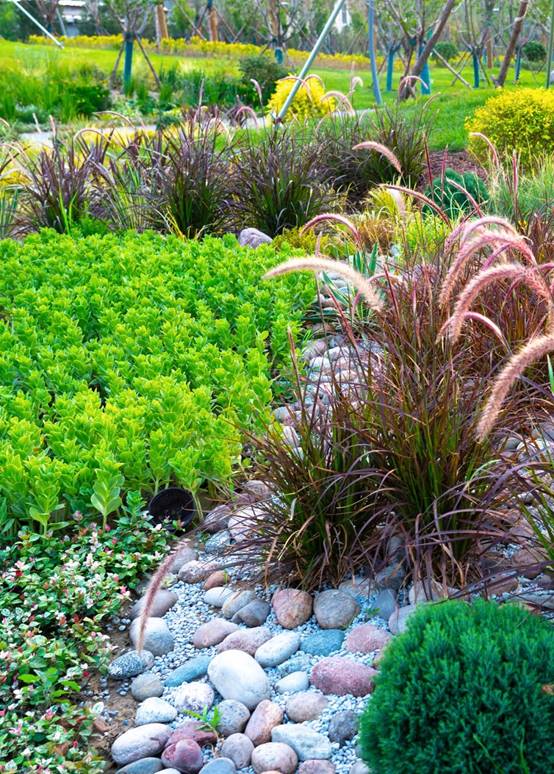 DB电竞(DBGame)官方网站