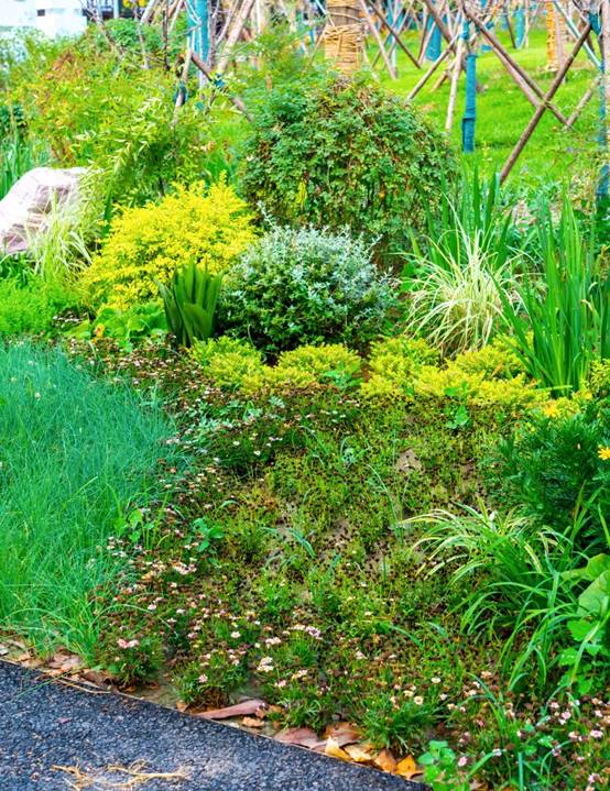 DB电竞(DBGame)官方网站