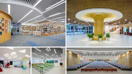 DB电竞(DBGame)官方网站